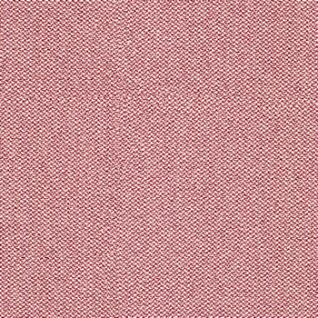 camira-era-cse24.jpg